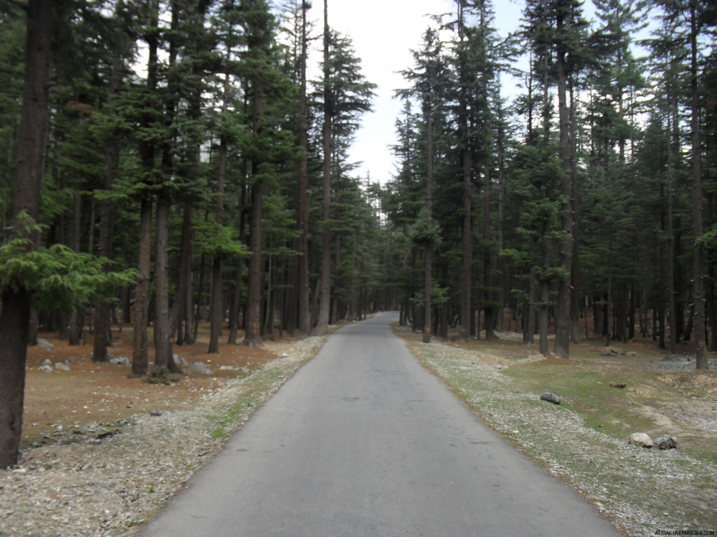 Swat (towards MohadandLake August 2011)
