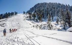 Malam Jabba (February 2015)
