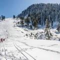 Malam Jabba (February 2015)
