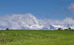 Mankial Sar (August 2013)
