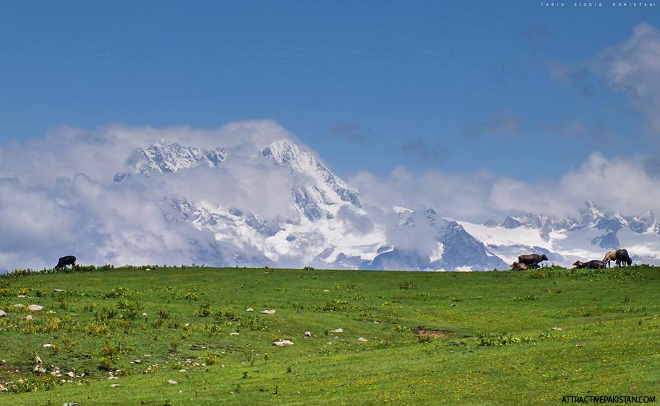 Mankial Sar (August 2013)
