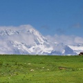 Mankial Sar (August 2013)
