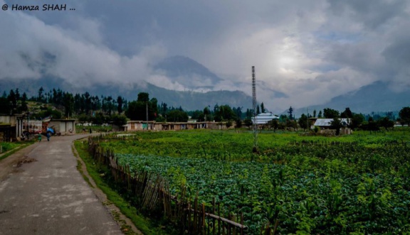 Utror Valley (August 2015)
