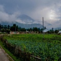 Utror Valley (August 2015)
