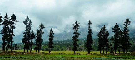 Utror Valley (August 2015)
