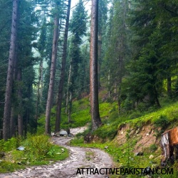 Badoghi Pass