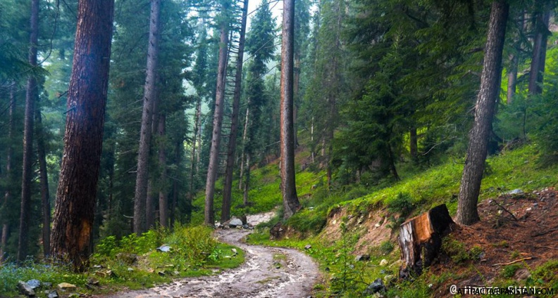 Badoghi Pass towards Utror Valley (August 2015)
