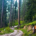 Badoghi Pass towards Utror Valley (August 2015)

