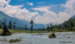 Kumrat Valley (August 2015)
