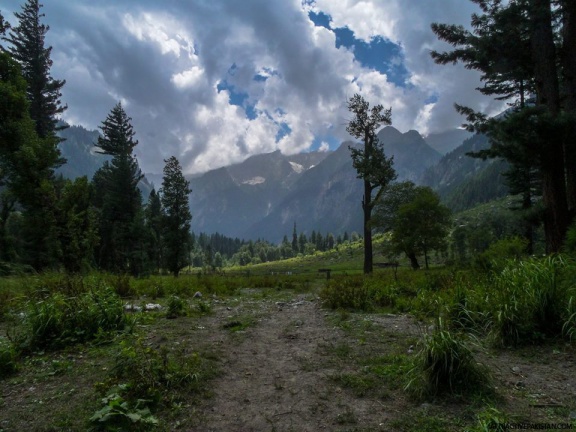 Kumrat Valley (August 2015)
