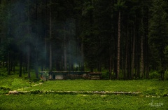 Kumrat Valley (July 2015)
