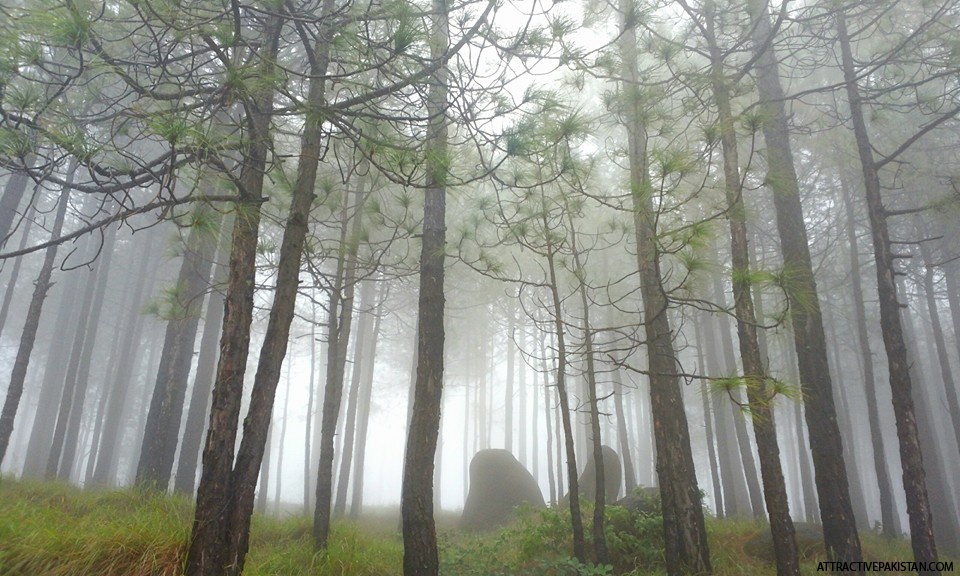 PanjPir (October2015)
