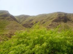 towards Fort Monroo (May 2012)
