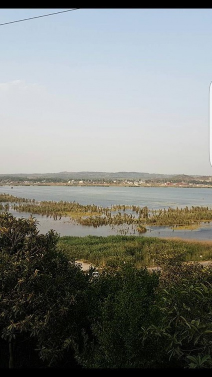 Kalar Kahar Lake (May 2016)
