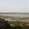 Kalar Kahar Lake (May 2016)
