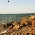 Keejhar Lake (Thatta (March 2016)
