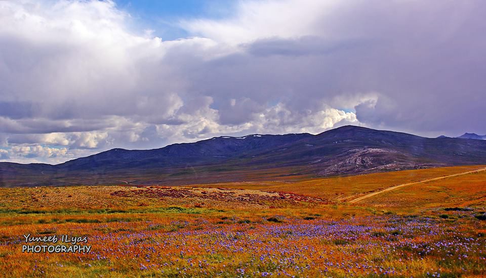 Deosai - September 2015